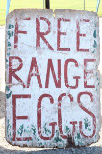 farmers_market_nolensville_eggs_free_range_nashmomsblog