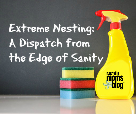 Extreme Nesting NashvilleMomsBlog