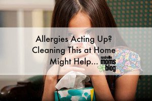 Allergies Cleaning Chem Dry NashvilleMomsBlog