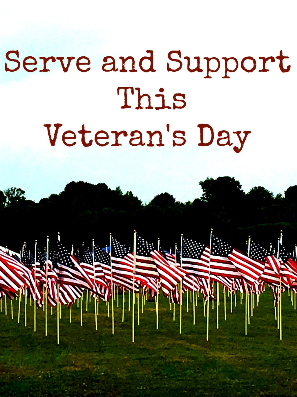 nab-vet-day-post veteran's day serve and support Nashville Moms Blog