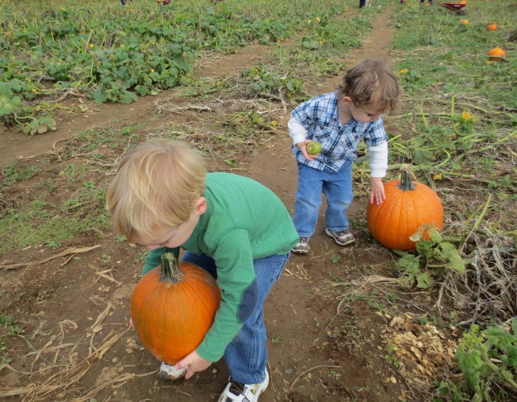 pumpkin carving with young children