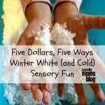 Five Dollars, Five Ways: Dollar Store Activities for Kids — Winter White (and Cold) Sensory Fun {Series}