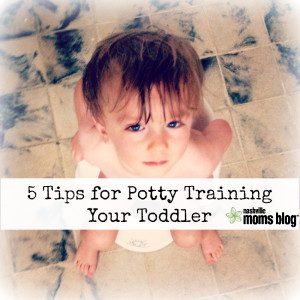 5 Tips Potty Training Toddler NashvilleMomsBlog