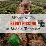 Where to Go Berry Picking in Middle Tennessee!