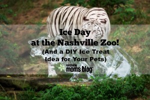 Ice Day Nashville Zoo NashvilleMomsBlog