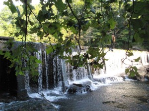 Tennessee State Parks boast a variety of waterfalls and swimming holes for your family to visit this summer.