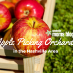 Apple Picking Orchards in the Nashville Area