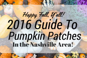 fall autumn pumpkin patch Nashville Middle Tennessee farms family fun