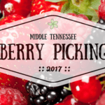 Berry Picking in Middle Tennessee! {2017}