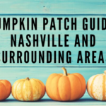 Pumpkin Patch Guide: Nashville and Surrounding Areas {2019}