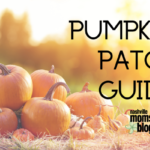 Pumpkin Patch Guide: Nashville and Surrounding Areas